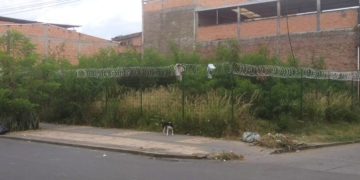 Habitantes del barrio la Ceiba entre la maleza