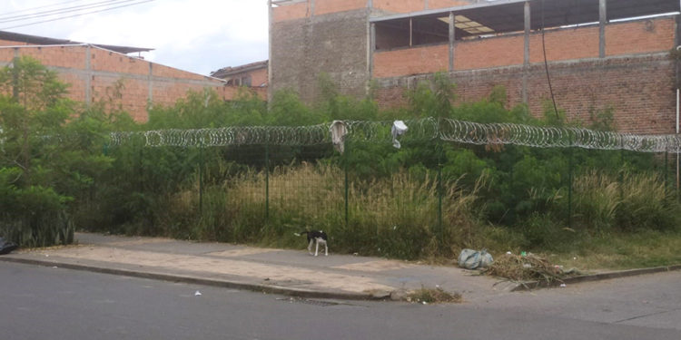 Habitantes del barrio la Ceiba entre la maleza