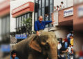 La imagen que marcó una época: Gustavo Álvarez Gardeazábal recorriendo Tuluá en elefante en 1988