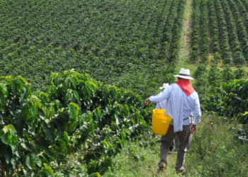 Valle del Cauca impulsa soberanía alimentaria para producir más y vender sin intermediario