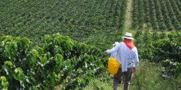 Valle del Cauca impulsa soberanía alimentaria para producir más y vender sin intermediario