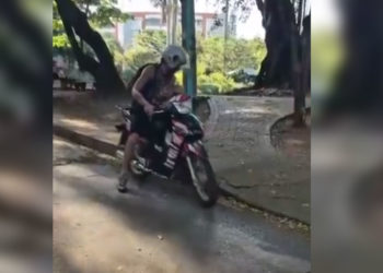 Caso de iguana en Cali desata alerta ambiental y llamado a la denuncia