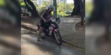 Caso de iguana en Cali desata alerta ambiental y llamado a la denuncia