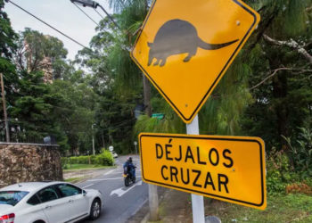 Gobierno exige medidas ambientales en obras viales para proteger la fauna silvestre