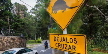 Gobierno exige medidas ambientales en obras viales para proteger la fauna silvestre