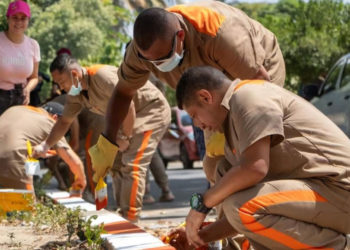 Más de 900 presos embellecerán parques y calles en jornada nacional
