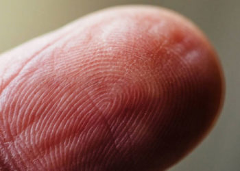 No es solo para identificarnos: científicos revelan el verdadero propósito de las huellas dactilares