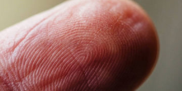 No es solo para identificarnos: científicos revelan el verdadero propósito de las huellas dactilares