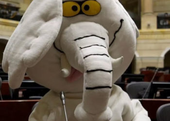 ¿Quién es el ‘Elefante Blanco’? El activista que denunció obras inconclusas y ahora llega al Senado