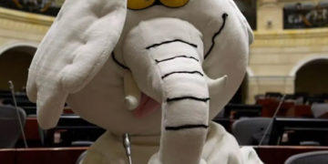 ¿Quién es el ‘Elefante Blanco’? El activista que denunció obras inconclusas y ahora llega al Senado