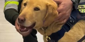 Zeus culmina su servicio y recibe emotivo homenaje de la Policía