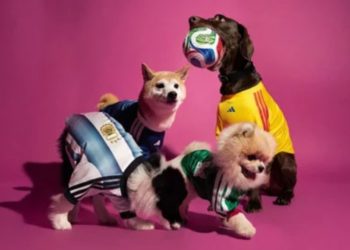 La alegría Tricolor también se llevará en cuatro patas