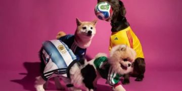 La alegría Tricolor también se llevará en cuatro patas