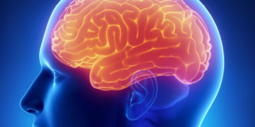 Nacer en estos meses podría favorecer el desarrollo cognitivo, según la ciencia