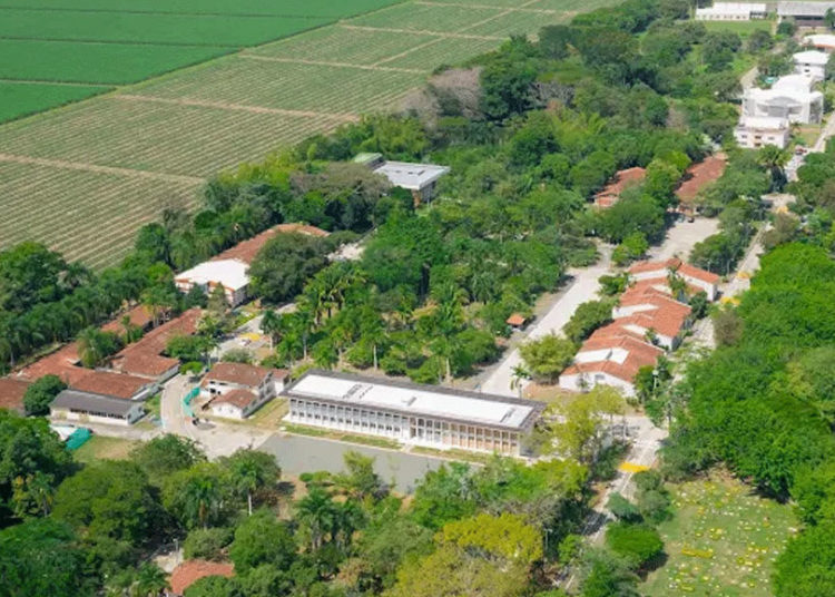 UCEVA se destaca en ranking científico internacional de Nature