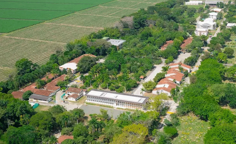 UCEVA se destaca en ranking científico internacional de Nature