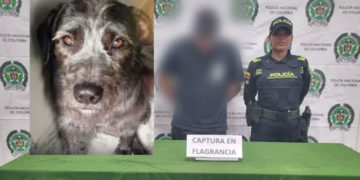 Autoridades capturan a hombre por violento caso de maltrato animal en Palmira