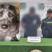 Autoridades capturan a hombre por violento caso de maltrato animal en Palmira