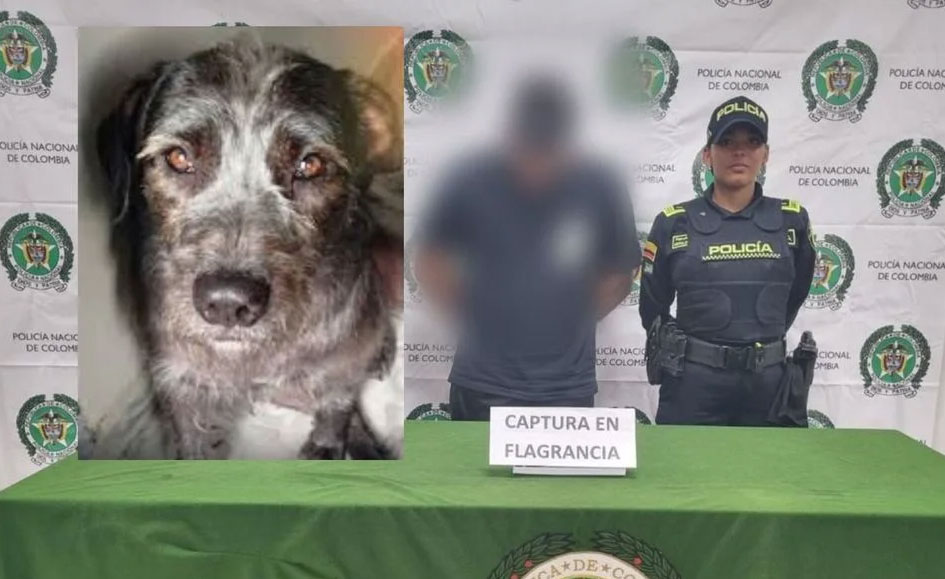 Autoridades capturan a hombre por violento caso de maltrato animal en Palmira