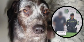 Rechazo en Palmira por libertad de hombre acusado de asesinar a un perro a golpes