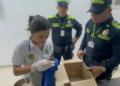 Dos ardillas fueron halladas escondidas en las partes íntimas de un pasajero