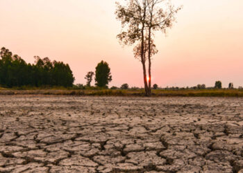 Fenómeno de El Niño podría alcanzar niveles récord y afectar a millones