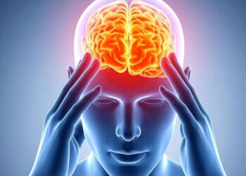 La contaminación y la desigualdad podrían hacer envejecer más rápido el cerebro