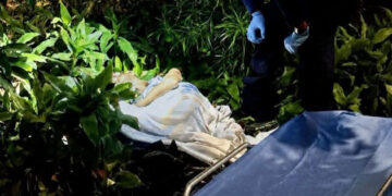 Adulto mayor con cáncer habría sido dejado a su suerte en un parque de Palmira; autoridades investigan lo ocurrido