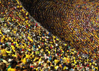 ¡Gracias Selección Colombia! Nos hicieron soñar cuando el país más lo necesitaba