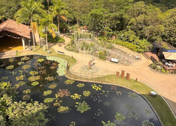 El trabajo por proteger el Bosque Seco Tropical le dio un reconocimiento internacional al Jardín Botánico de Cali