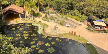 El trabajo por proteger el Bosque Seco Tropical le dio un reconocimiento internacional al Jardín Botánico de Cali
