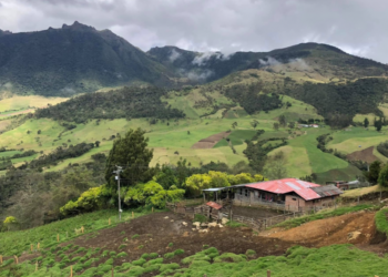 Reportan enfrentamientos entre el Frente 57 y el Ejército en zona rural de Tuluá