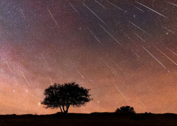 La lluvia de estrellas más esperada del año será visible en Colombia