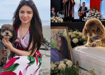 Lenny no sobrevivió, pero logró proteger a su perro Salomón en los escombros