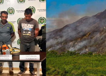 Señalan a dos hombres de causar incendio que afectó 6 hectáreas