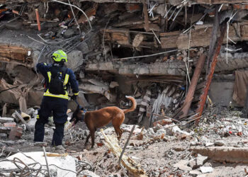 Señales de vida renuevan la esperanza en el edificio Vanessa en Cali