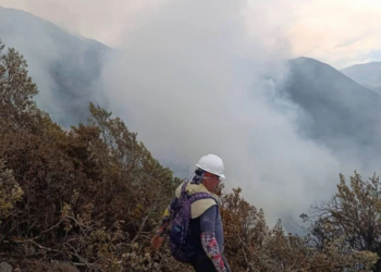 Más de 1.000 hectáreas afectadas por incendio en Buga