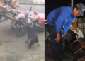Tras denuncia ciudadana, autoridades retiran a perrita señalada de maltrato
