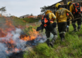 Incendios y sequía ponen en alerta al Valle del Cauca