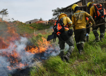Incendios y sequía ponen en alerta al Valle del Cauca