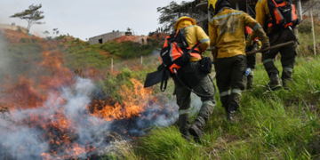 Incendios y sequía ponen en alerta al Valle del Cauca
