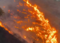 Incendios forestales no dan tregua en el Valle y CVC anuncia judicializaciones
