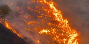Incendios forestales no dan tregua en el Valle y CVC anuncia judicializaciones