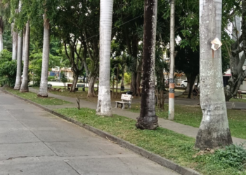Villa del Río se une para recuperar y embellecer su parque este domingo