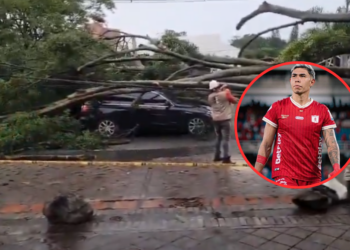 Al carro de un jugador del América de Cali le cayó un árbol