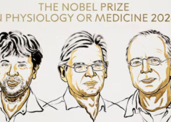 Nobel de Medicina destaca técnica que abre camino contra el Parkinson
